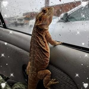 Meet your Posher, Dustin